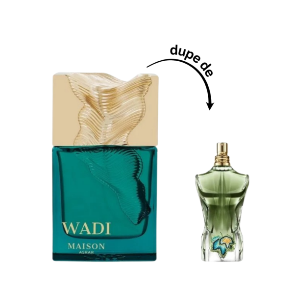 NIZACH_THEMPLATE_29 Wadi MAISON ASRAR