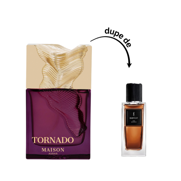 NIZACH_THEMPLATE_42 Tornado maison asrar