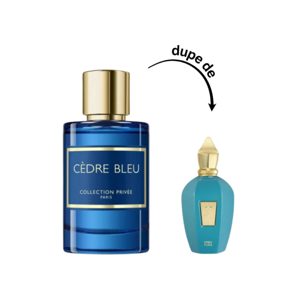 Cèdre Bleu Collection Privée Paris