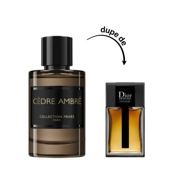 NIZACH_THEMPLATE_6 CÈDRE AMBRÉ