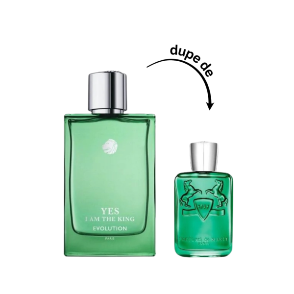 NIZACH_THEMPLATE_74 Yes I am the king evolution